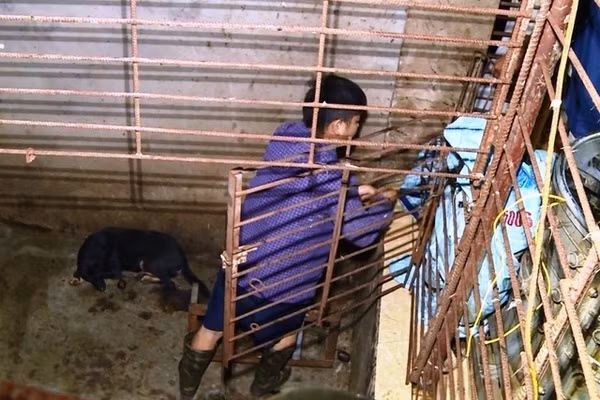 Chiếc hầm bí mật trong đường dây trộm hơn 100 tấn chó ở Thanh Hóa