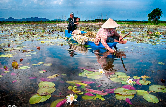 Sản vật mùa nước Sản vật mùa nước