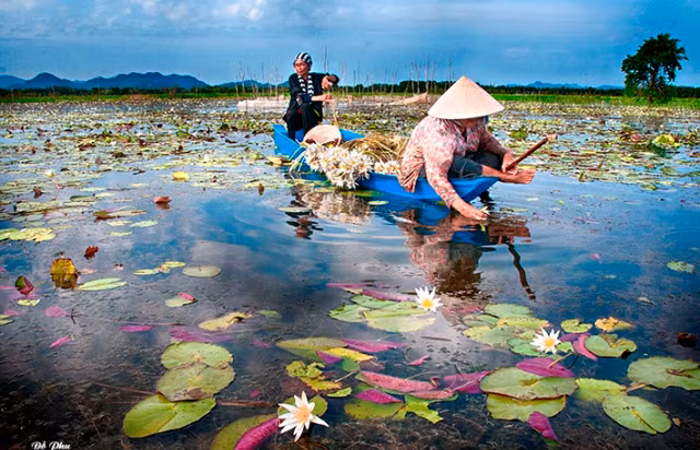 Sản vật mùa nước