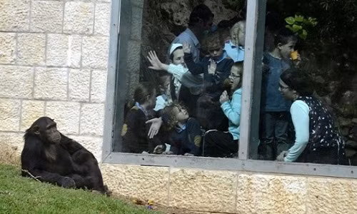 Đẹp trai có gì sai.