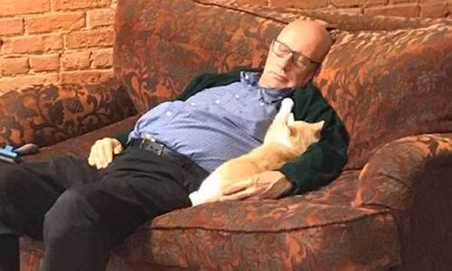 Mỗi lần ông Laurmen ngủ gật cùng mèo, nhân viên trại cứu hộ sẽ chụp ảnh lại. Ảnh: CNN.