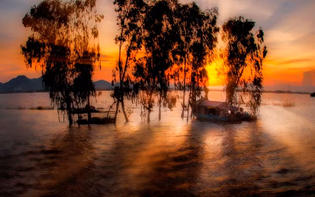 Chiều trên cánh đồng mùa nước nổi