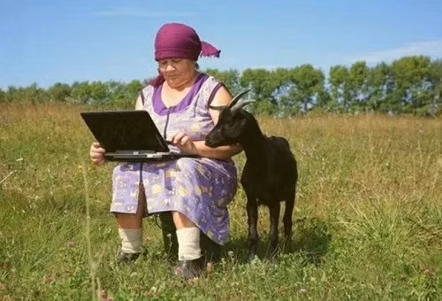 Phổ cập tin học cho dê.