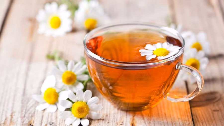 Uống trà hàng ngày giúp ích cho sức khoẻ