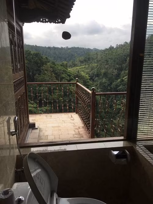 Khung trời mộng mơ.