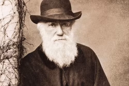 Charles Darwin, cha đẻ của thuyết tiến hóa.