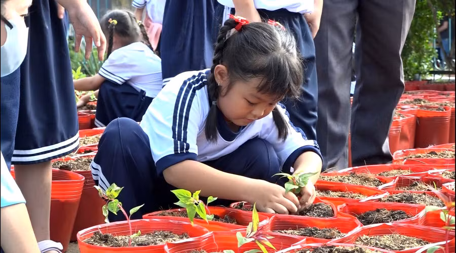 Học sinh Tp Sa Đéc trồng hoa hưởng ứng Festival Hoa - Kiểng lần đầu tiên