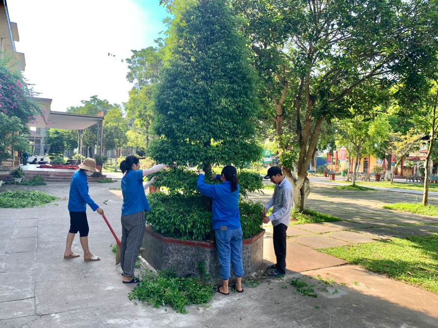 Tại Trường Tiểu học Hải Anh (Hải Hậu, Nam Định), cán bộ, giáo viên và nhân viên nhà trường cùng nhau cắt tỉa cây xanh. Tại Trường Tiểu học Hải Anh (Hải Hậu, Nam Định), cán bộ, giáo viên và nhân viên nhà trường cùng nhau cắt tỉa cây xanh.