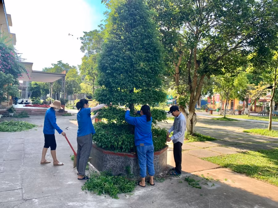 Tại Trường Tiểu học Hải Anh (Hải Hậu, Nam Định), cán bộ, giáo viên và nhân viên nhà trường cùng nhau cắt tỉa cây xanh.