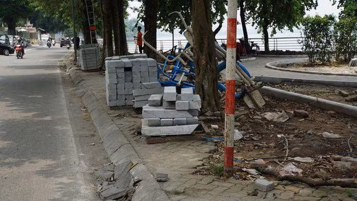 Hàng trăm cây hoa sữa ở Hà Nội bất ngờ bị chặt cành, cưa ngọn ảnh 12