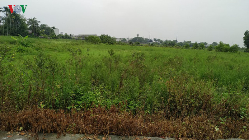  dan "keu troi" vi o nhiem tu cac cum cong nghiep o hai phong hinh 1