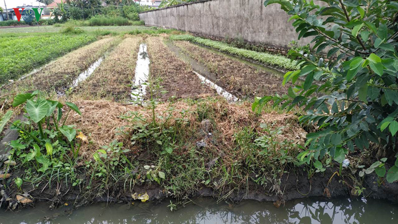  dan "keu troi" vi o nhiem tu cac cum cong nghiep o hai phong hinh 3