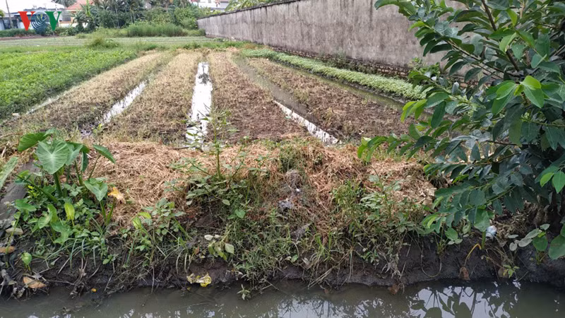  dan "keu troi" vi o nhiem tu cac cum cong nghiep o hai phong hinh 3