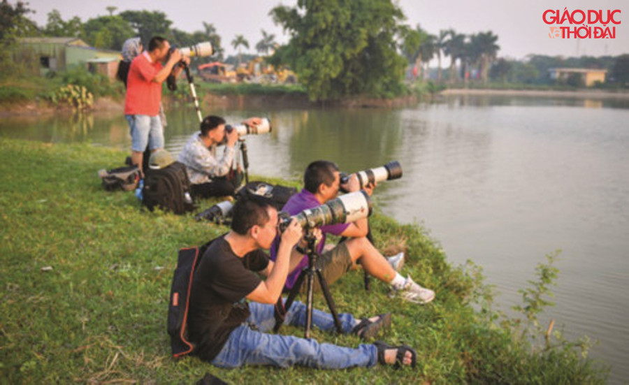 Cánh thợ ảnh mải mê "săn" cò.