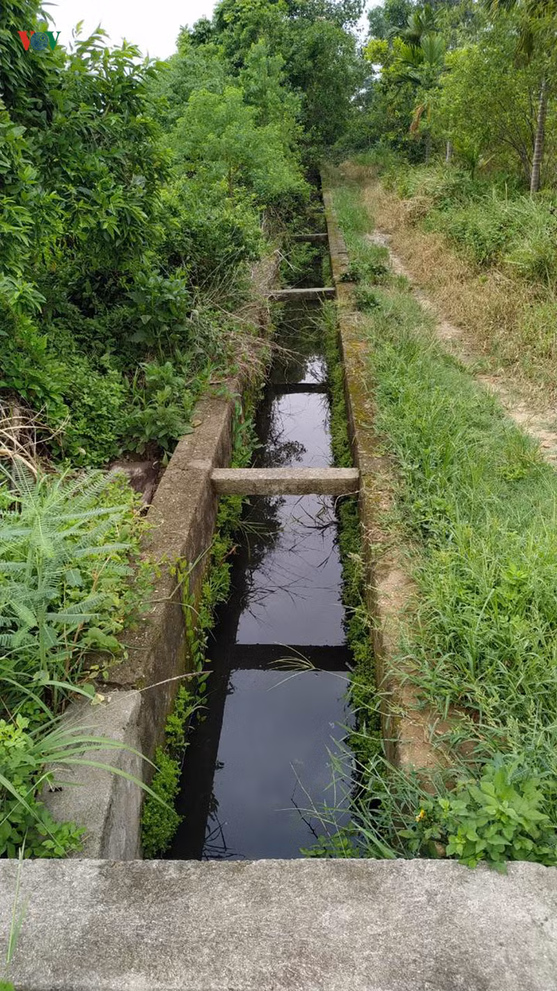  dan "keu troi" vi o nhiem tu cac cum cong nghiep o hai phong hinh 2