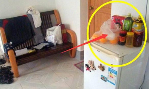 Đặt thứ này lên tủ lạnh: Gia chủ làm mãi vẫn nghèo, bỏ ngay để đổi vận