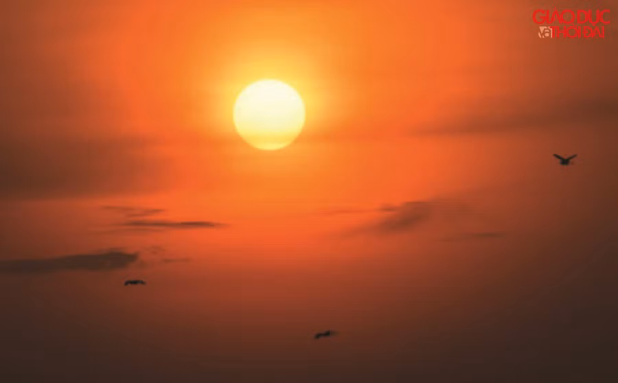 Chao liệng giữa không trung.