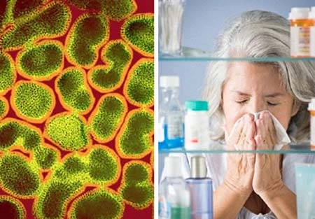 Loại thuốc mới hứa hẹn tăng cường miễn dịch của người già trước các virus cúm và CMV, giúp họ có sức đề kháng tương đương thanh niên trong lứa tuổi 20.