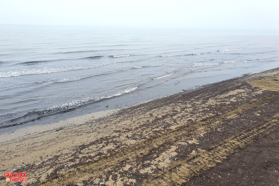 Bãi biển đẹp bỗng nhiên trở nên xám xịt, tràn ngập rác. Ảnh: Phạm Tâm