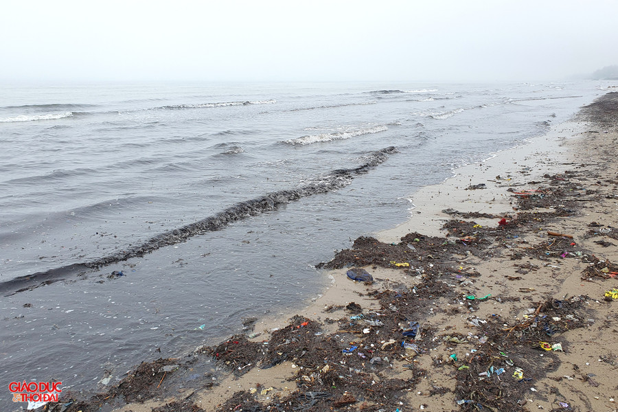 Mùn khiến nước biển đen kịt. Ảnh: Phạm Tâm