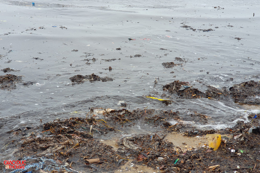 Nhiều loại rễ cây và rác thải. Ảnh: Phạm Tâm