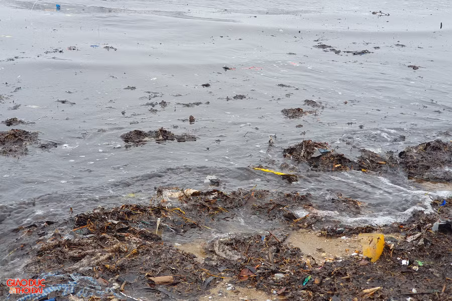 Nhiều loại rễ cây và rác thải. Ảnh: Phạm Tâm Nhiều loại rễ cây và rác thải. Ảnh: Phạm Tâm