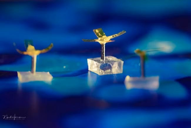 Robot có thể chuyển động dưới tác động của ánh sáng và từ tính. Ảnh: Tue