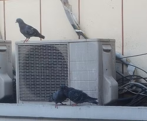 10-anh-hai-hot-nhat-facebook-trong-ngay-5