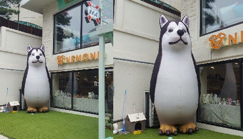 Chó lai cánh cụt. 10-anh-hai-hot-nhat-facebook-trong-ngay-1