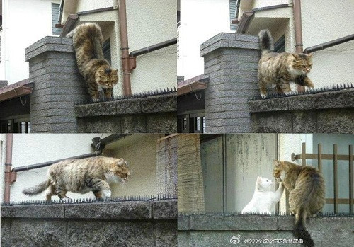 Thương em mấy núi cũng trèo, mấy sông cũng lội, mấy đèo cũng qua. Thươngem mấy núi cũng trèo, mấy sông cũng lội, mấy đèo cũng qua.