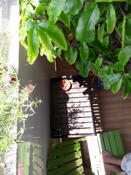 Ban công chị đặt vài cây đơn giản để có thể đọc sách, thư giãn, thay vì trồng rau hay hoa như nhiều người. Ảnh: Hạnh Nguyễn.