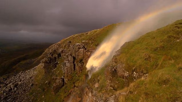 Cuộc sống muôn màu