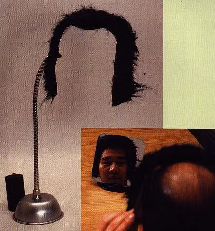 24 phát minh kì lạ có một không hai của Nhật Bản - Hình 17