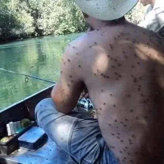 Đang luyện chữ... NHẪN... vui lòng không làm phiền...