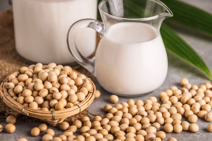 Chọn loại đậu nành ngon, đảm bảo chất lượng để làm sữa đậu nành. Ảnh minh họa.