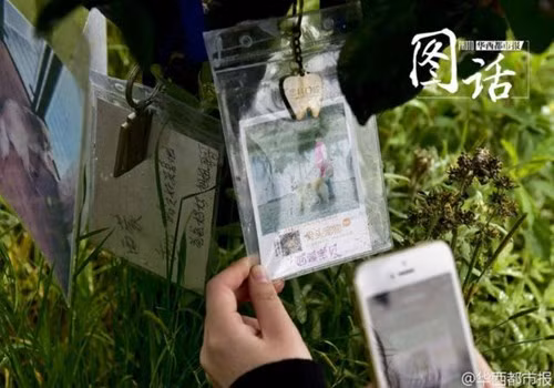 Choáng váng với mức giá nửa tỷ của ngôi mộ... thú cưng - ảnh 5