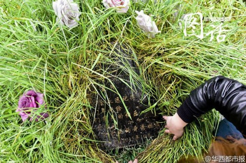 Choáng váng với mức giá nửa tỷ của ngôi mộ... thú cưng - ảnh 3