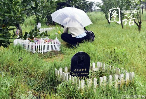 Choáng váng với mức giá nửa tỷ của ngôi mộ... thú cưng - ảnh 2