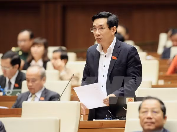 Đại biểu Quốc hội tỉnh Bình Định Nguyễn Văn Cảnh phát biểu ý kiến. (Ảnh: Phạm Kiên/TTXVN)