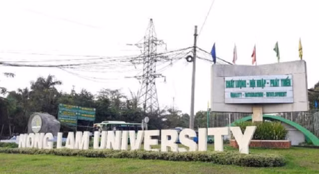 Trường ĐH Nông Lâm TPHCM công bố điểm chuẩn trúng tuyển năm học 2019-2020