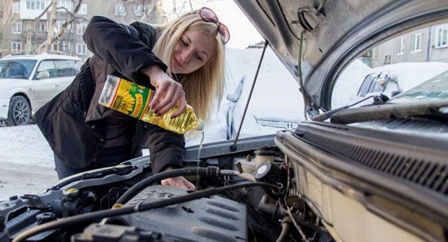 nhung buc anh khien nguoi xem "cuoi vo bung" hinh anh 9