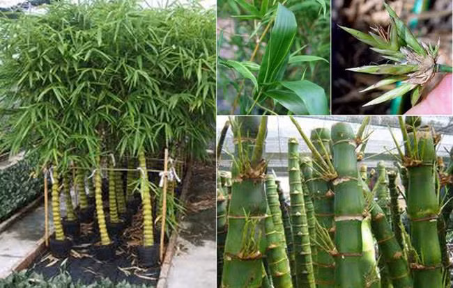 F2ABBB4C-2373-4487-9A7A-822BB173819E