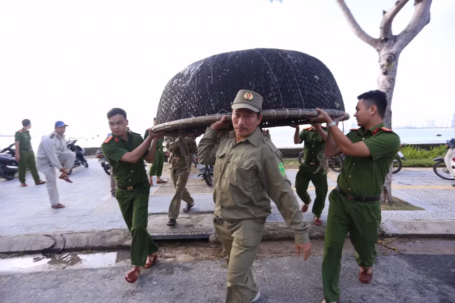 Công an phụ giúp người dân khu vực ven biển vận chuyển thuyền thúng lên bờ trước khi bão đổ bộ.