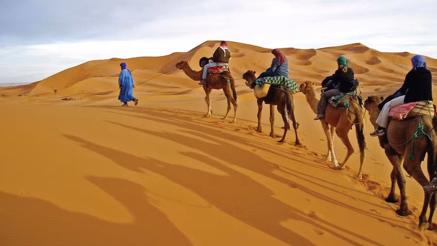 Gian nan hành trình đi tìm vàng trắng ở sa mạc Sahara