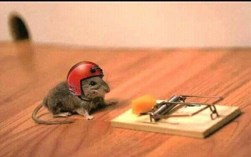 An toàn trên xa lộ. 10-anh-hai-hot-nhat-facebook-trong-ngay-6