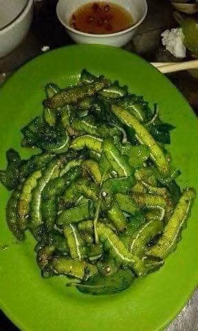 sâu khoai cũng là “mồi nhậu” khoái khẩu của cánh đàn ông