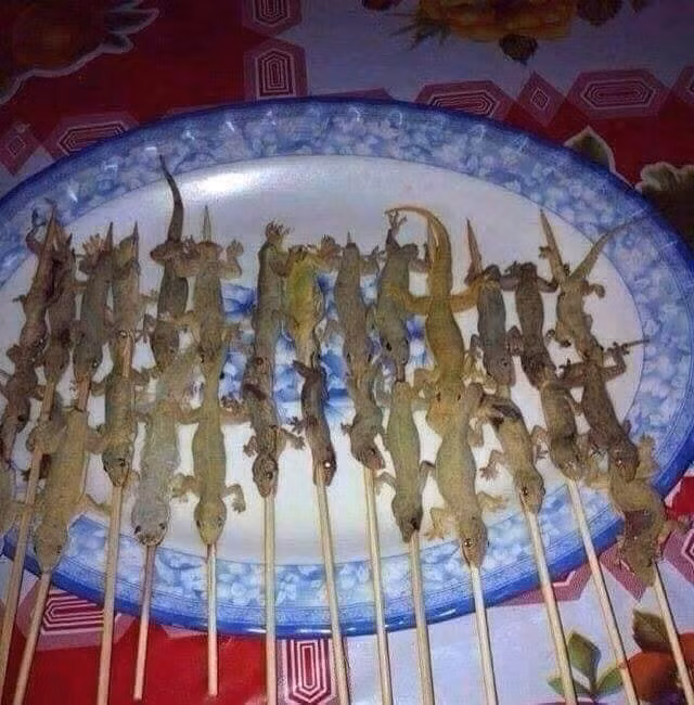 Thạch sùng hoá ra lại là món ăn đặc sản