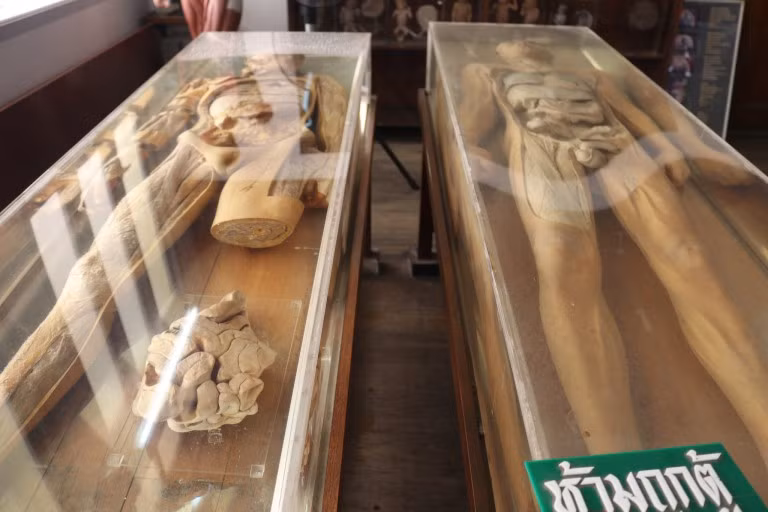 thanh nien "cung" cung phat khiep khi buoc chan vao bao tang chet choc nay hinh anh 5