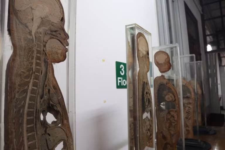 thanh nien "cung" cung phat khiep khi buoc chan vao bao tang chet choc nay hinh anh 3