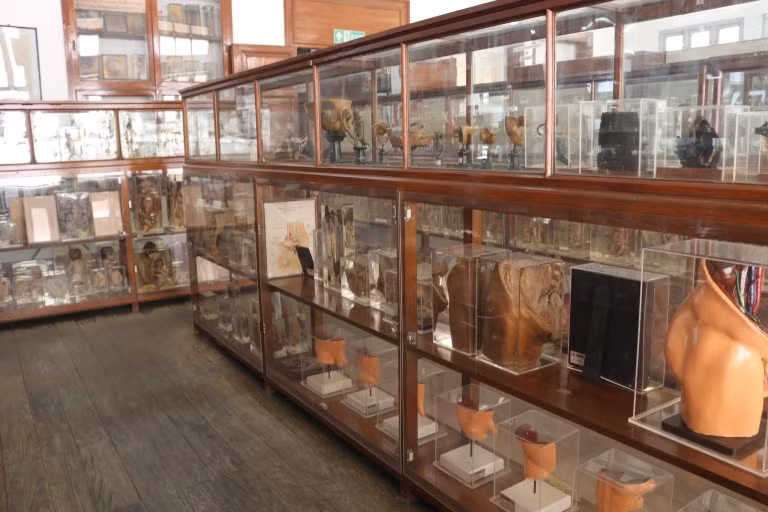 thanh nien "cung" cung phat khiep khi buoc chan vao bao tang chet choc nay hinh anh 4